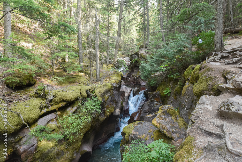 Nature Hike