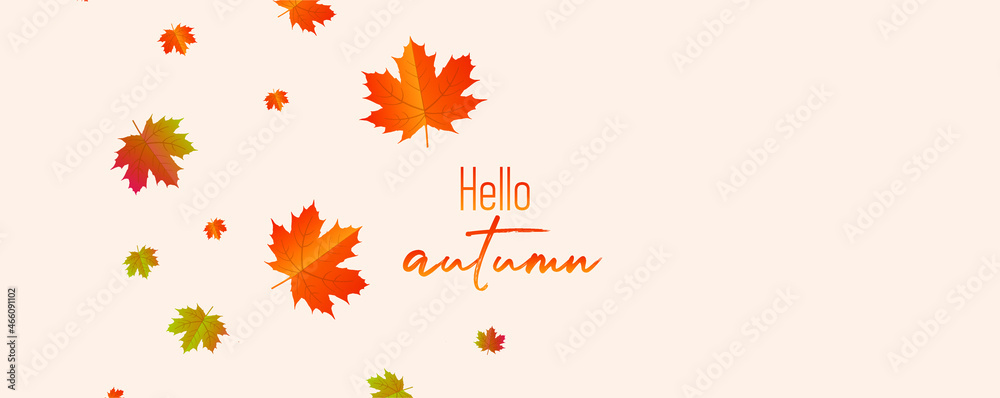 hello autumn background hello autumn background