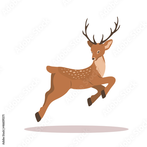 Elegant noble sika deer. Reindeer with antlers in jump. Ruminant mammal animal. Vector illustration in flat cartoon style.