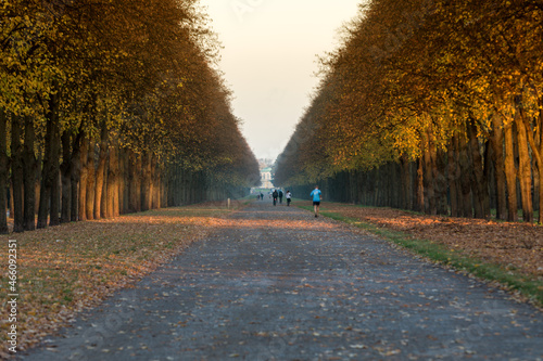 Allee im Herbst, Georgengarten, Hannover-Herrenhausen, Niedersachsen, Deutschland