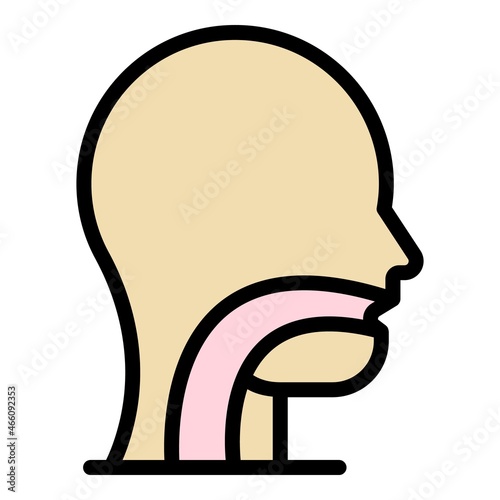 Digestion esofag icon. Outline digestion esofag vector icon color flat isolated