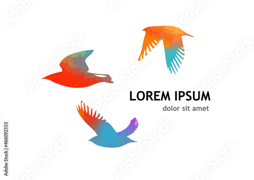 Colorful flying birds in the sky. Vector illustration