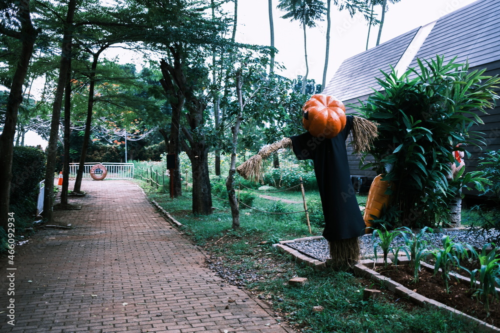 Spooky and Creepy Park in Jakarta filled with Pumpkin head to celebrate the Halloween. Scarecrow with pumpkin head. Spooky and Creepy Park in Jakarta filled with Pumpkin head to celebrate the Halloween. Scarecrow with pumpkin head.