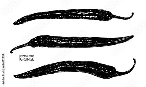 Chili pepper grunge vector. Organic fresh jalapeno. Spicy food vector. Grunge unusual farmers market vegetable. Grunge pepper set.