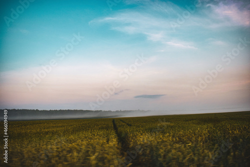 sunset over field © Ксюша Азикова