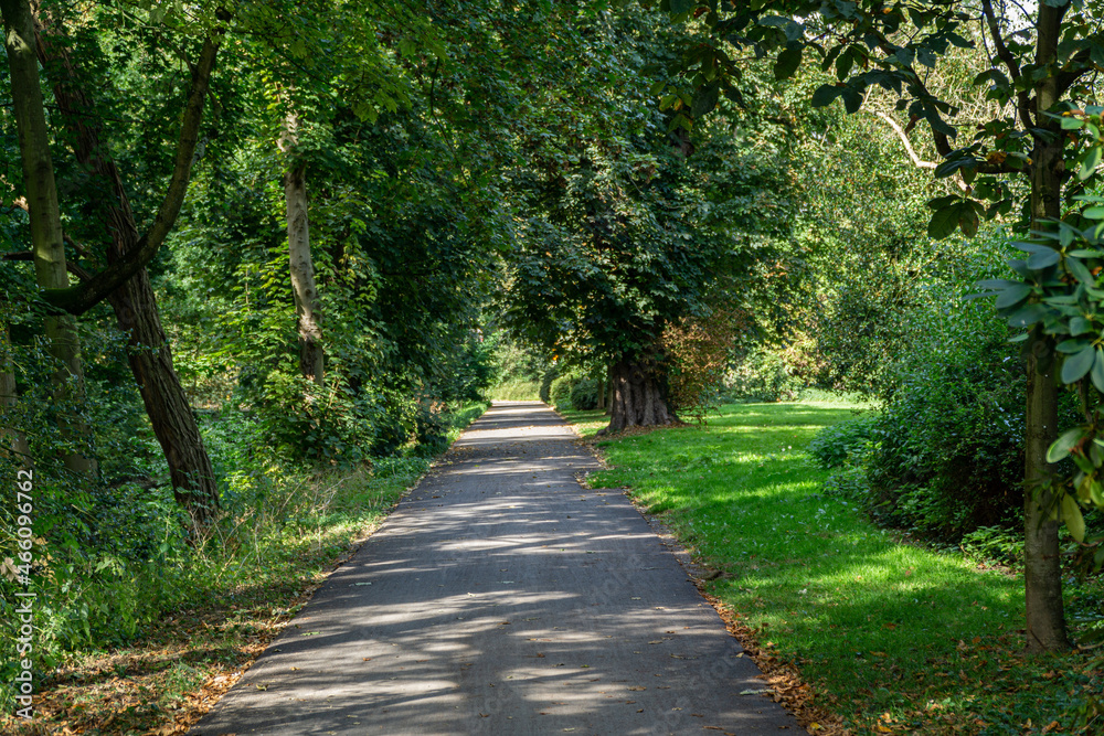 Naklejka premium Footpath in a park in autumn