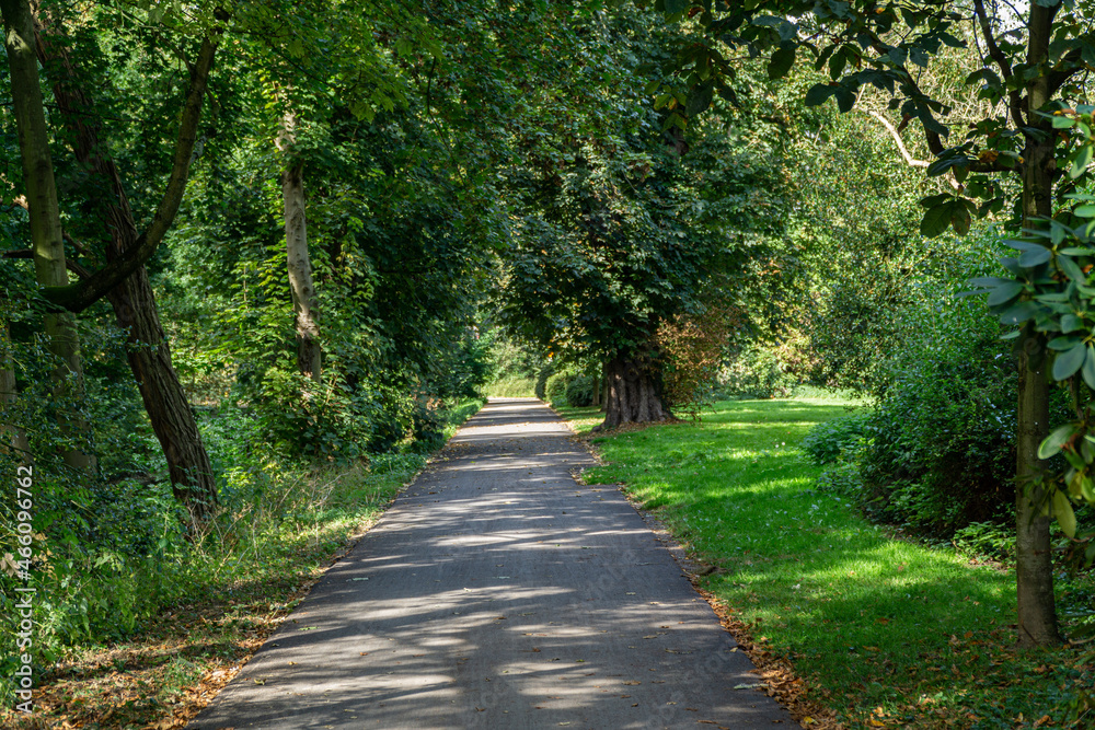 Footpath in a park in autumn