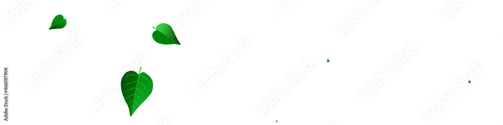 Obraz premium Mint Leaves Flying Vector Panoramic White