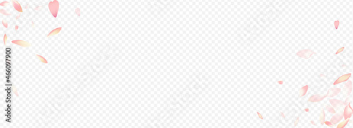 Color Blooming Vector Panoramic Transparent