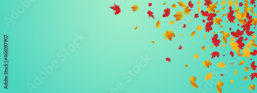 Orange Leaves Vector Blue Panoramic Background.