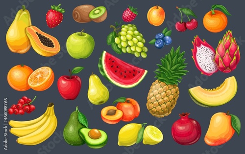 Fruits and berries vector illustration. Lemon, watermelon, avocado,peach, apple, orange, and melon. Pomegranate, pitaya, raspberries, strawberries, grapes and blueberries.