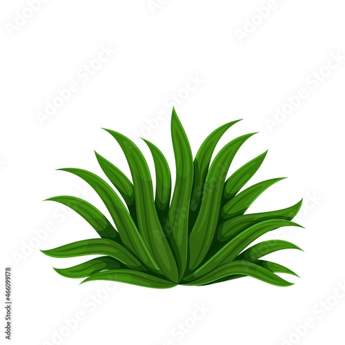 Green tropical plant bush vector illustration.