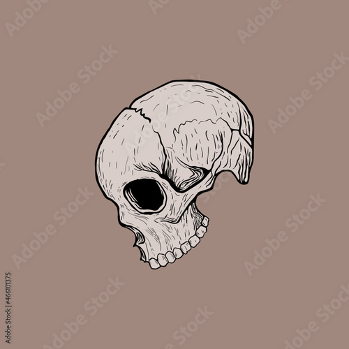 skull illustration vector hand drawing