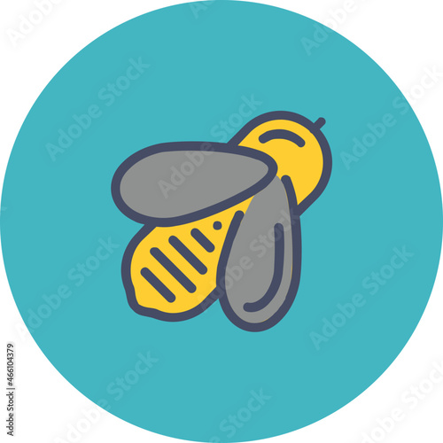 Honey Bee Icon