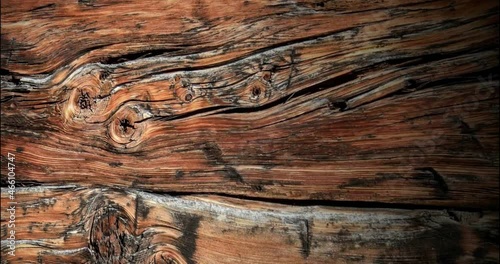 wood