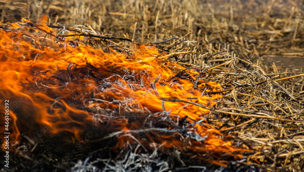Close-up background of fire is rising from burning straw to black ash and smoke Close-up background of fire is rising from burning straw to black ash and smoke