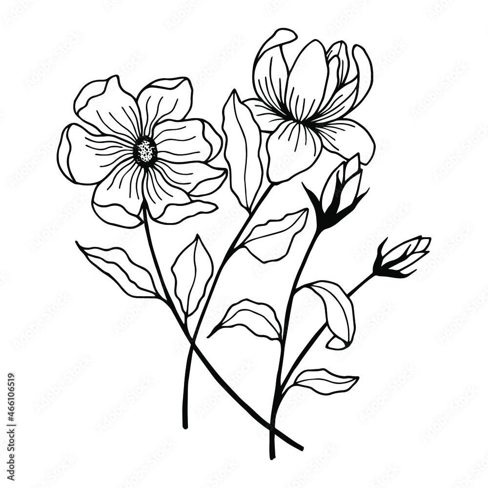 Flowers bouquet. Vector stock illustration eps10. Isolate on white background, outline, hand drawing. Flowers bouquet. Vector stock illustration eps10. Isolate on white background, outline, hand drawing.