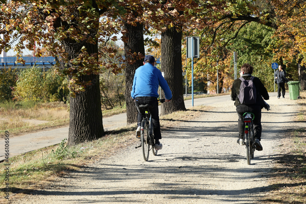 Ludzie jadą na ścieżce rowerowej na rowerze.  - obrazy, fototapety, plakaty 