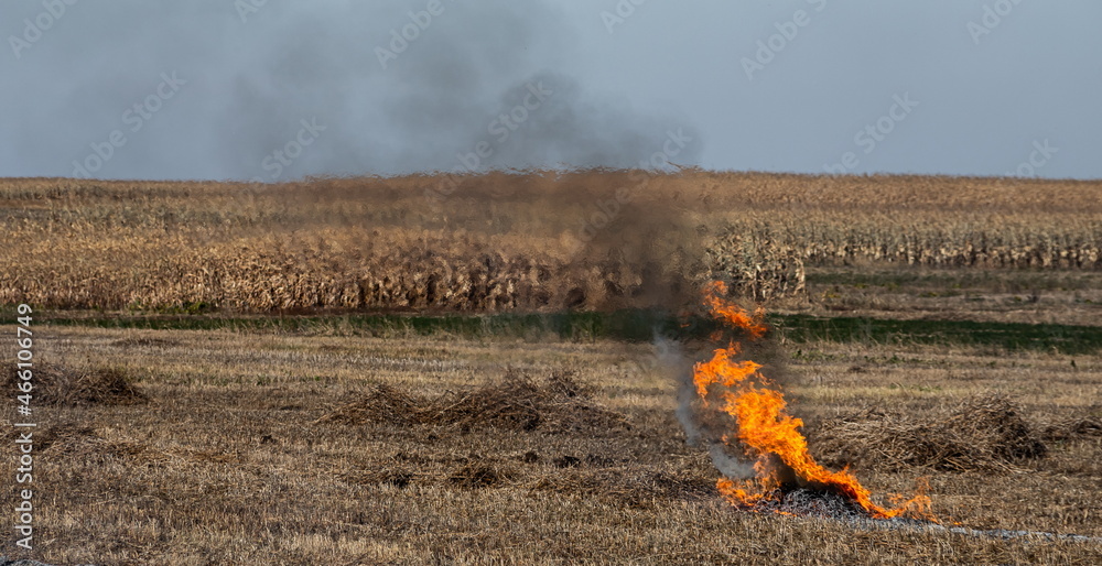 incineration of agricultural waste smog and pollution. Harmful