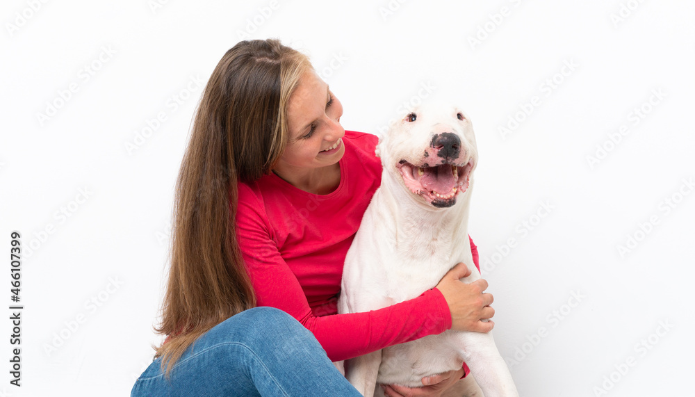 Young bull terrier dog over isolated background Young bull terrier dog over isolated background