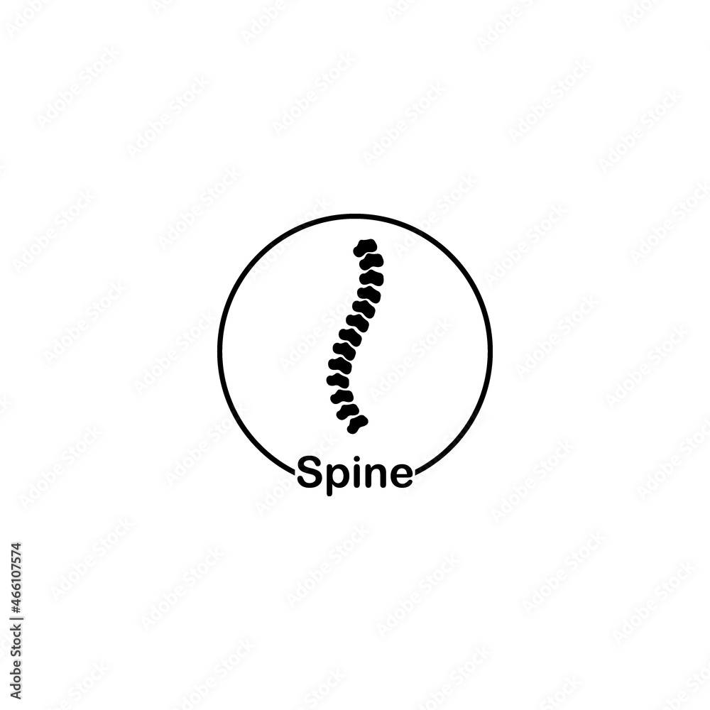 Spine icon Spine icon