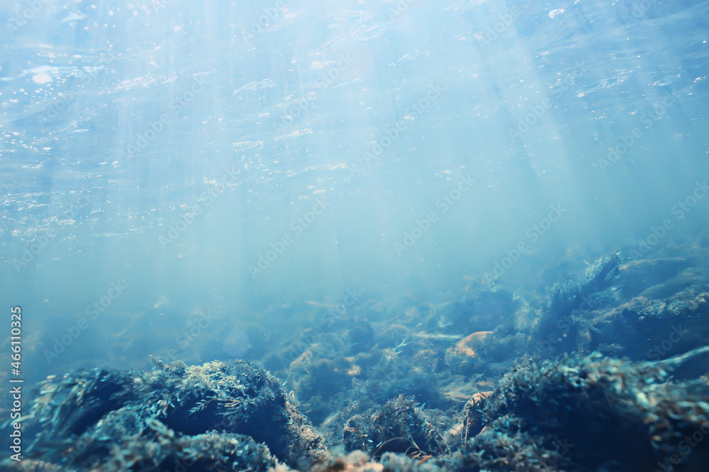 Fototapeta premium sun rays under water blue ocean background, abstract sun light in water wallpaper