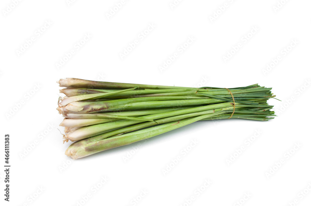 Fresh lemongrass isolated on white background. Medicinal plant and used as an ingredient in many foods. Fresh lemongrass isolated on white background. Medicinal plant and used as an ingredient in many foods.