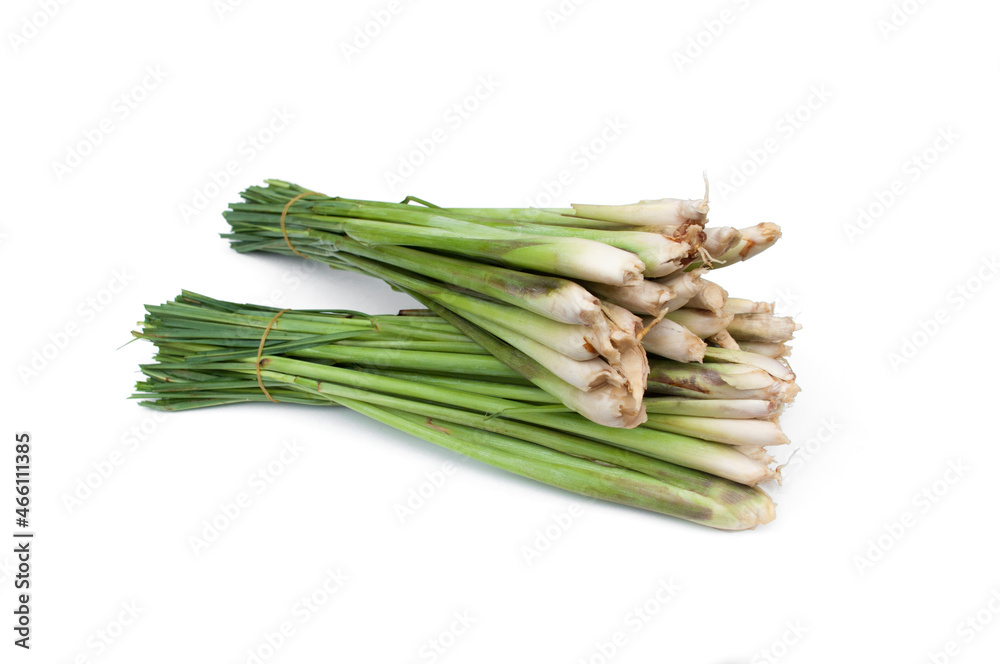 Fresh lemongrass isolated on white background. Medicinal plant and used as an ingredient in many foods. Fresh lemongrass isolated on white background. Medicinal plant and used as an ingredient in many foods.