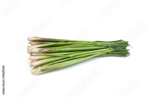 Fresh lemongrass isolated on white background. Medicinal plant and used as an ingredient in many foods.