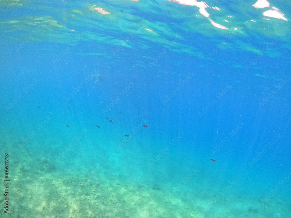 Underwater world of Mediterranean Sea. Near Marmaris, Turkey Underwater world of Mediterranean Sea. Near Marmaris, Turkey