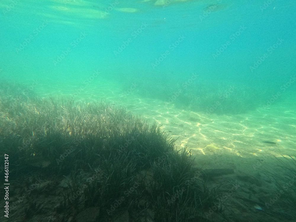 Fototapeta premium Underwater world of Mediterranean Sea. Near Marmaris, Turkey