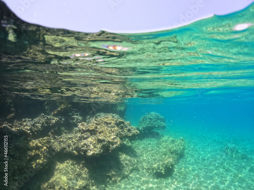 Underwater world of Mediterranean Sea. Near Marmaris  Turkey