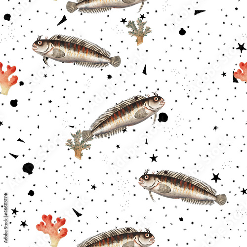 a beautiful and stunning repeated pattern of oceanic creatures called blennius gattorugine in high definition free download perfect for fabrics, t-shirts, mugs, etc photo