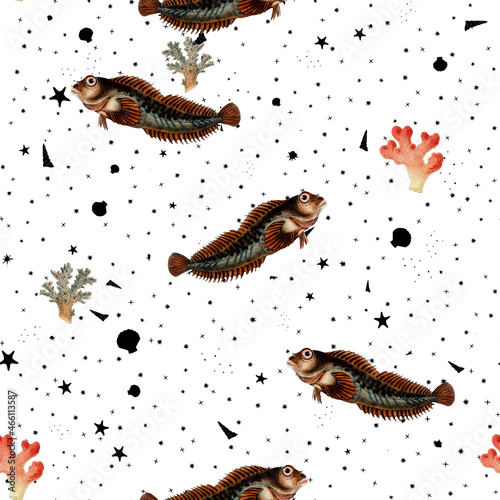 a beautiful and stunning repeated pattern of oceanic creatures called bulcard blennius pholis in high definition free download perfect for fabrics, t-shirts, mugs, etc photo