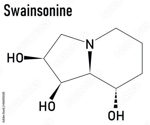 Skeletal formula of Swainsonine locoweed toxin molecule. Present in Astragalus, Oxytropis and Swainsona plant species. photo