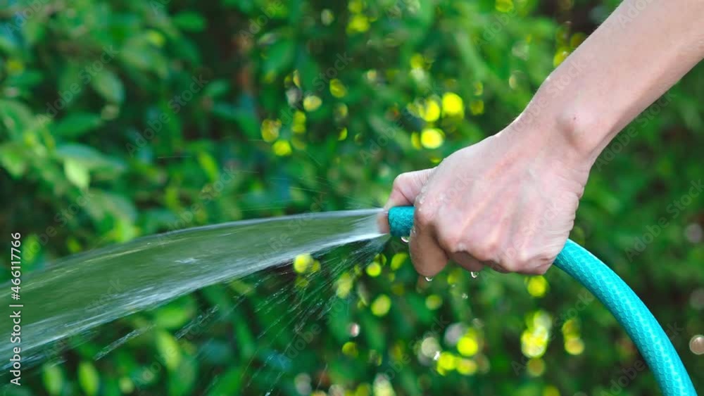 Garden Injection Watering tree. Woman arms are using water spraying hoses. Woman ...