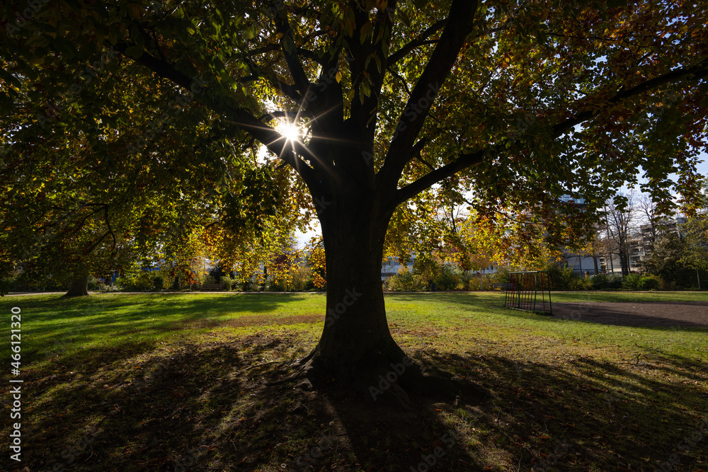 Wallanlagen in Mainz Oktober 2021