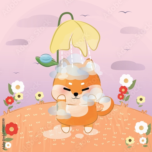 cute little shiba inu take a shower