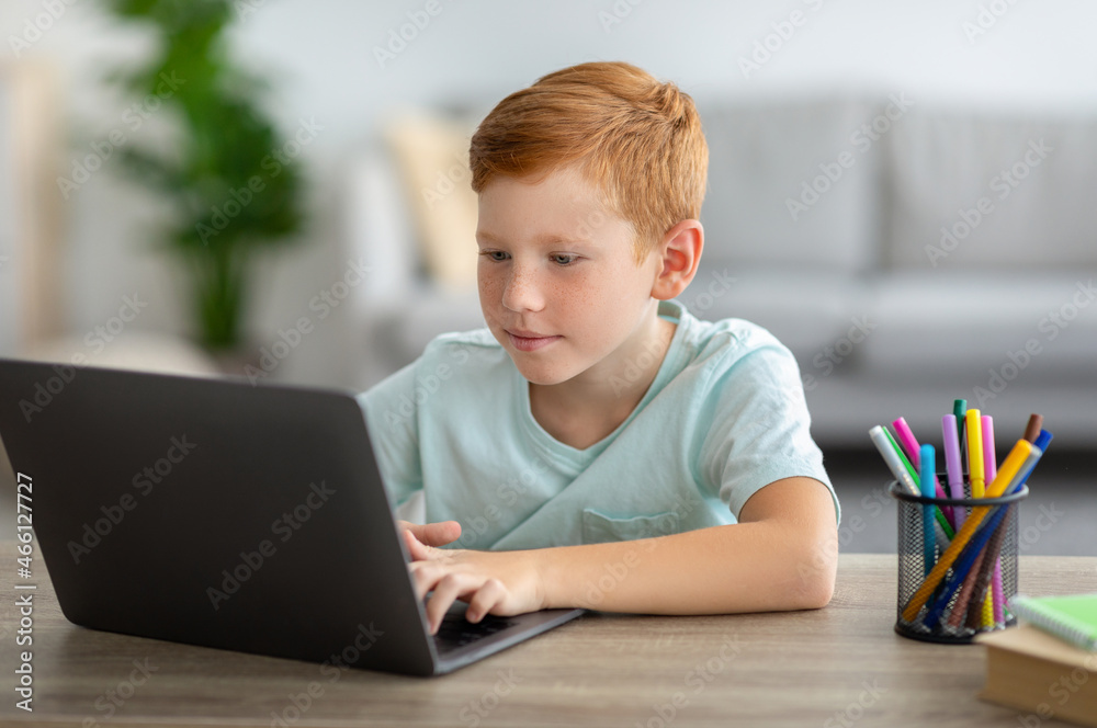 Smart boy sitting in front of laptop, doing homework Smart boy sitting in front of laptop, doing homework