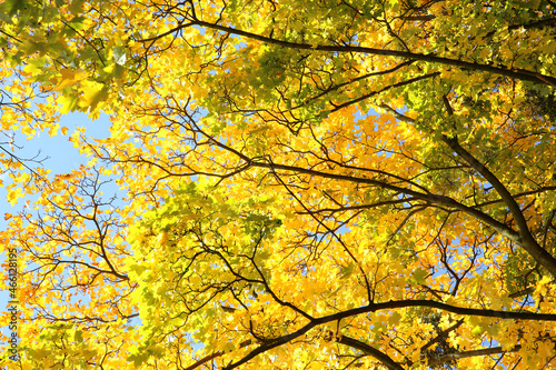 Beautiful autumn colors on a sunny day 