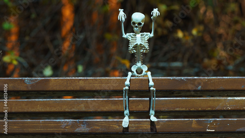 Photograph of a skeleton on the bench in the public park at night. Agressive skeleton toy. He scares passers-by. Natural dark background. Halloween concept.