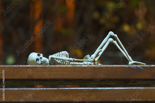 Photograph of a skeleton lies on a wooden bench at night. Tired abstract skeleton toy. Natural dark background. Halloween concept. Close up photography