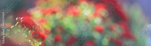 Abstract background of bokeh circles, similar to flowers
