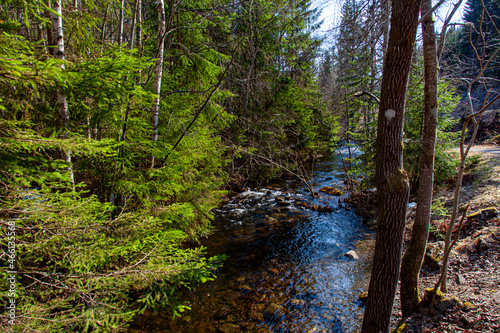 stream in the forest  L  renskog  Norway