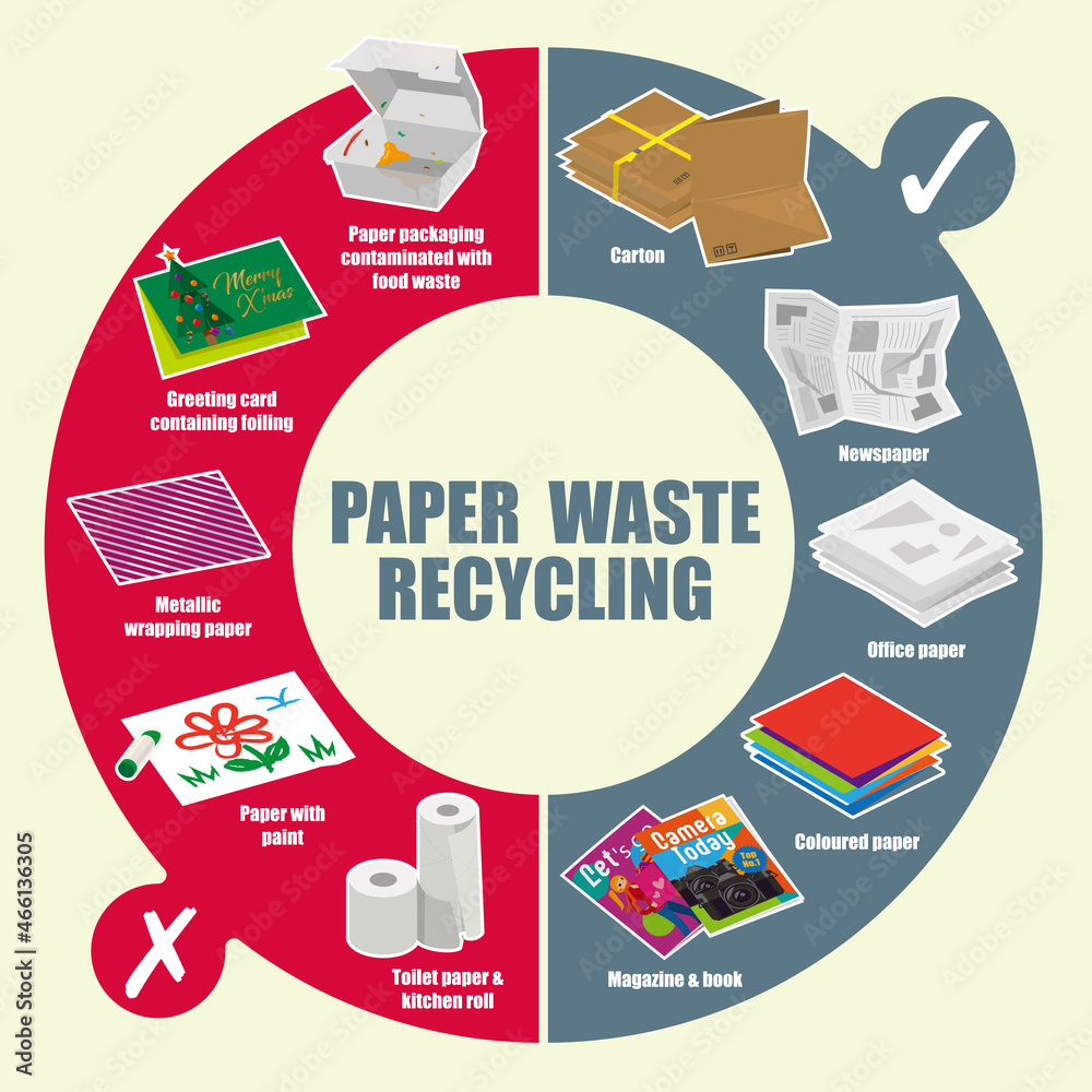 Vector diagram of recyclable and non-recyclable paper waste items Stock Vector  Adobe Stock