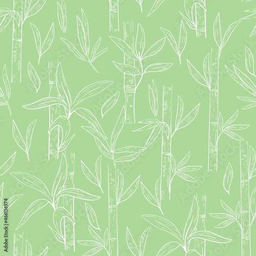 Fototapeta Naklejka Na Ścianę i Meble -  Bamboo outlines seamless pattern, vector illustration. Stems with bamboo leaves and green background. Botanical template for substrate, wallpaper, fabric and packaging.