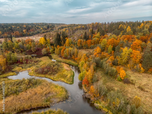 Aerial view on the river and various trees with orange, yellow and green leaves. Cloudy sky. Karelian nature, Russia. Autumn season. Photo from the drone. Autumnal landscape.