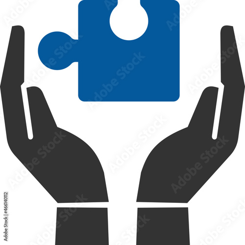 solution provider