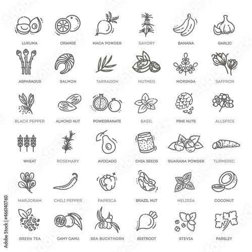 Superfoods line vector icons. Vector Organic superfoods