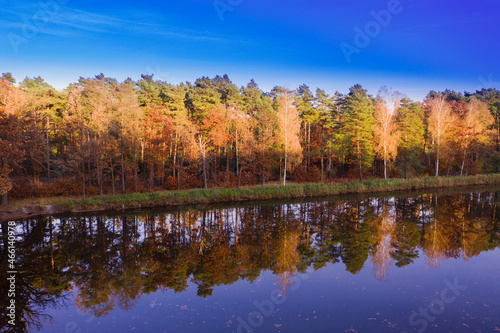 Staw hodowlany położony pośród lasów. Jest jesień, na drzewach liście mają żółty kolor. W tafli wody odbija się niebieskie niebo. Zdjęcie wykonane z wysokości przy użyciu drona.